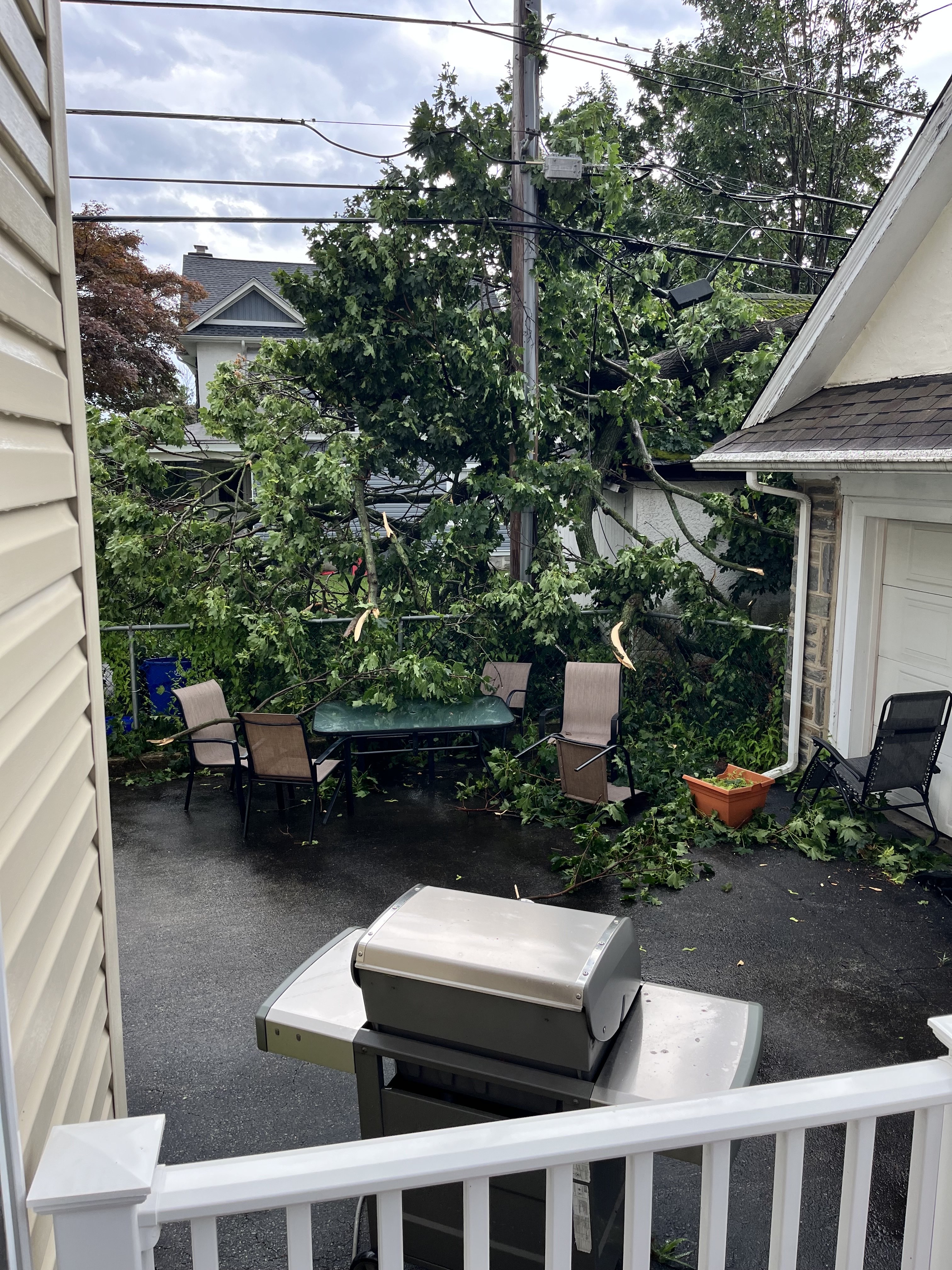 Porch Tree